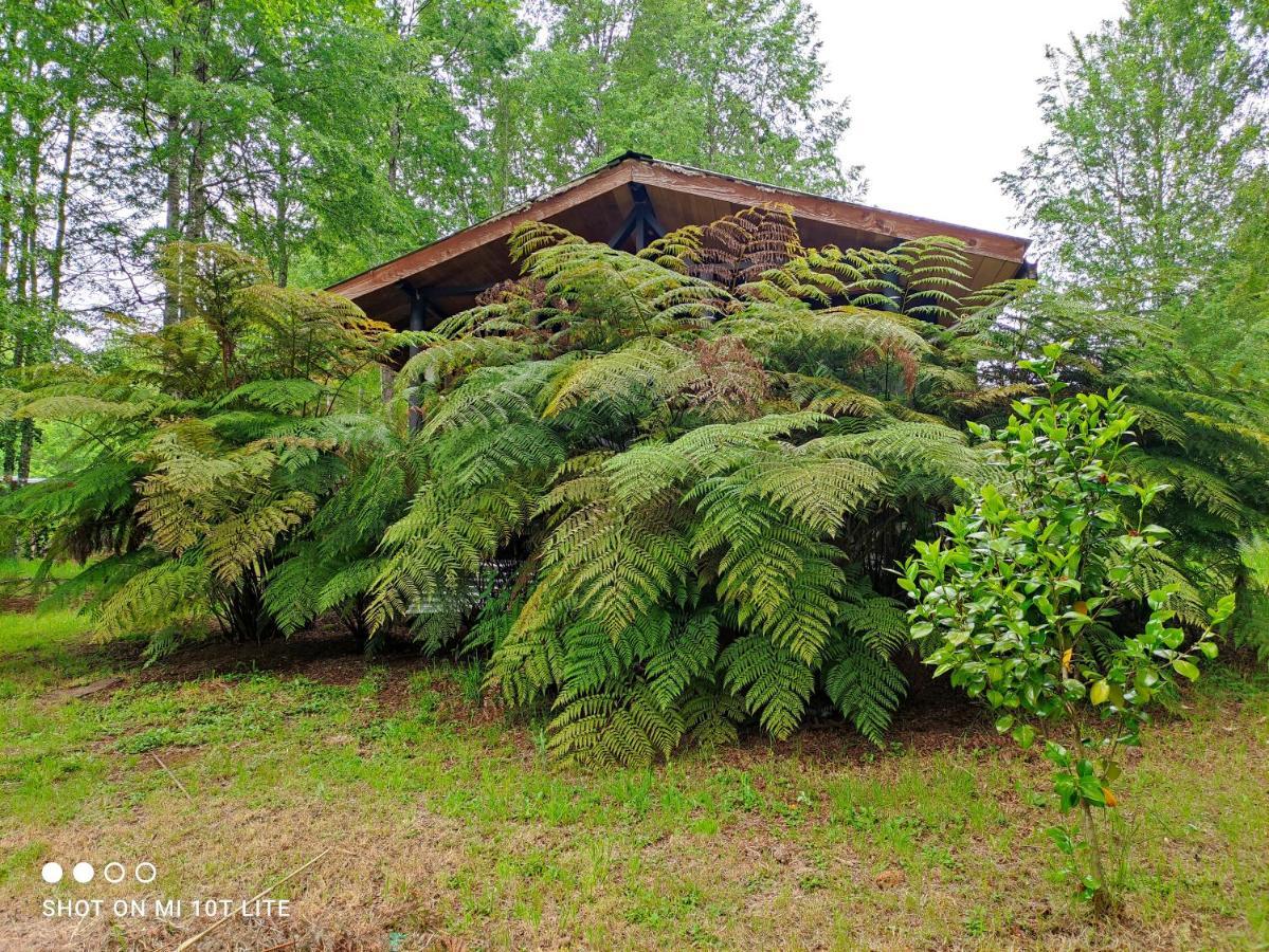Relun Casa de férias Villarrica